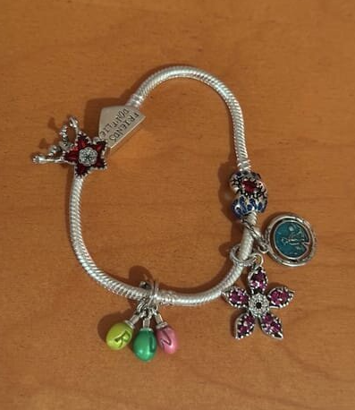 Foto da avaliação do cliente 21