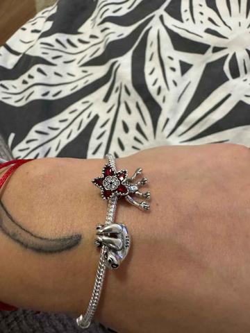 Foto da avaliação do cliente 31